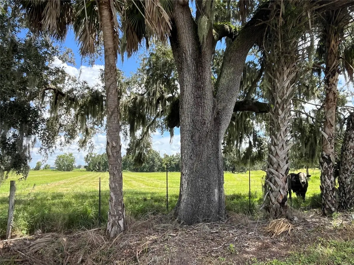 Johns Road, Wauchula, FL 33873 - #1