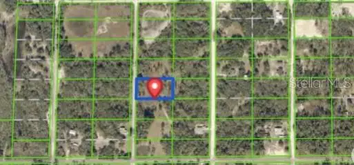 7490 Castleberry Drive, WEBSTER, FL 33597