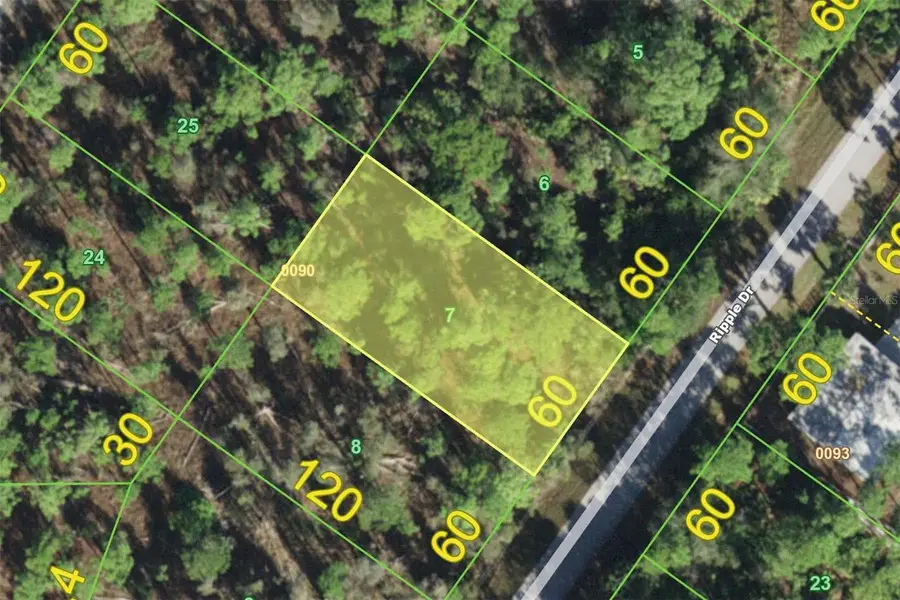12213 Ripple Drive, Punta Gorda, FL 33955 - #2