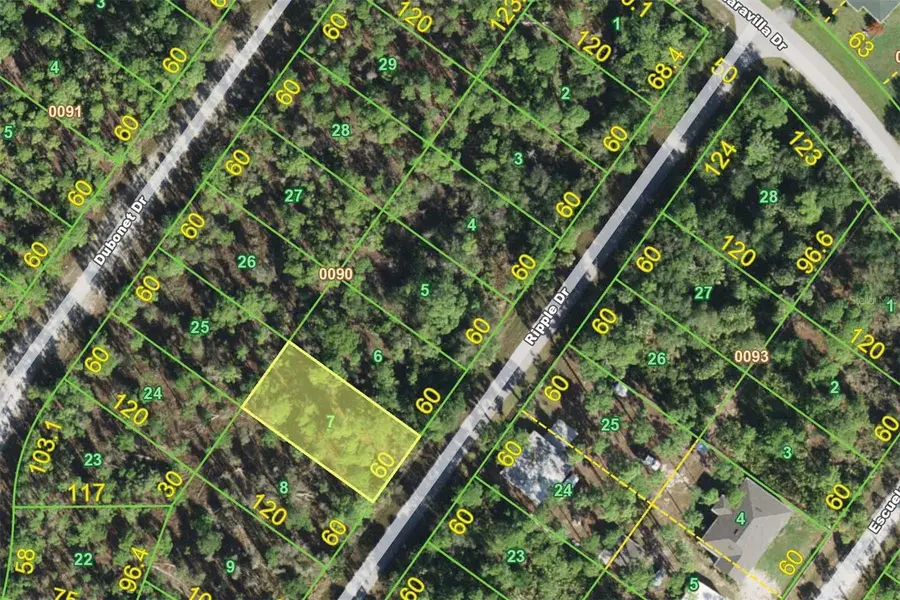 12213 Ripple Drive, Punta Gorda, FL 33955 - #3