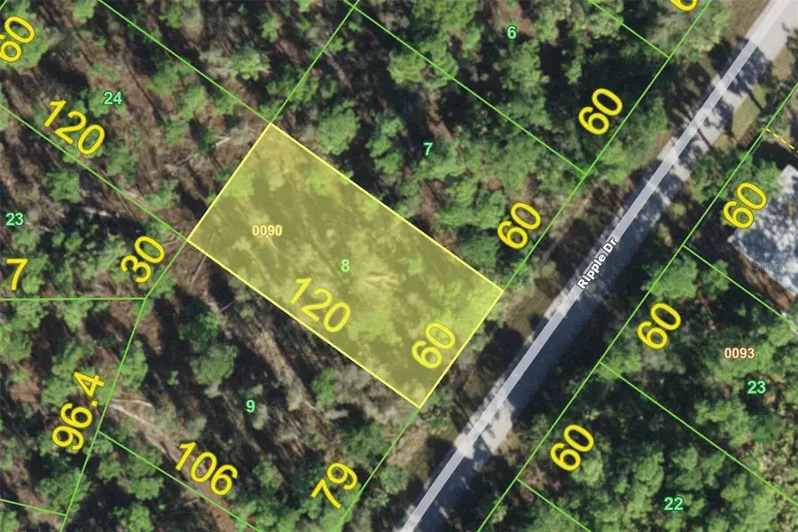 12219 Ripple Drive, Punta Gorda, FL 33955 - #2