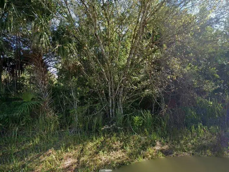 6006 Terry Avenue N, Lehigh Acres, FL 33971 - #1