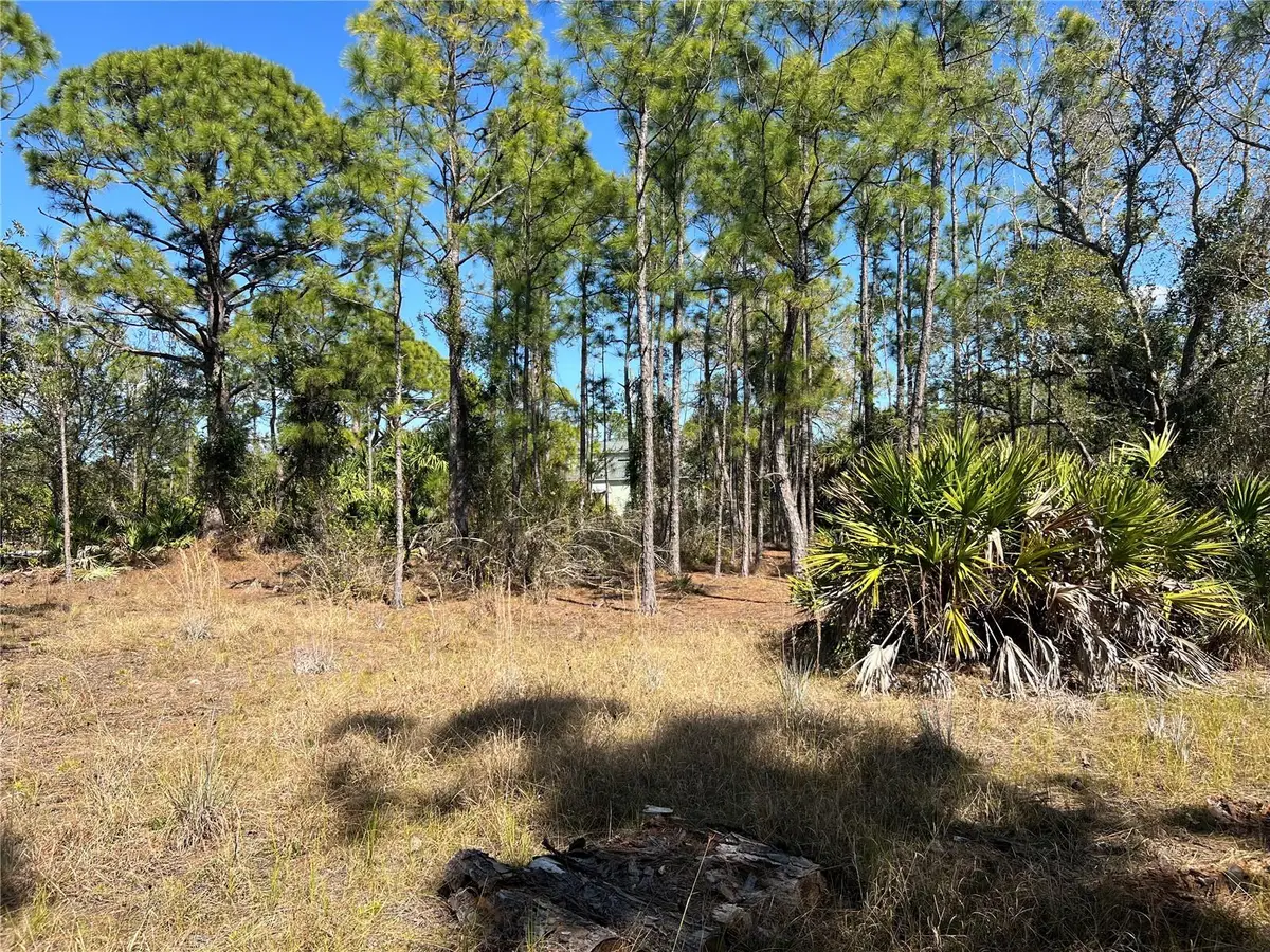 28019 Treadmill Drive, Punta Gorda, FL 33955 - #1