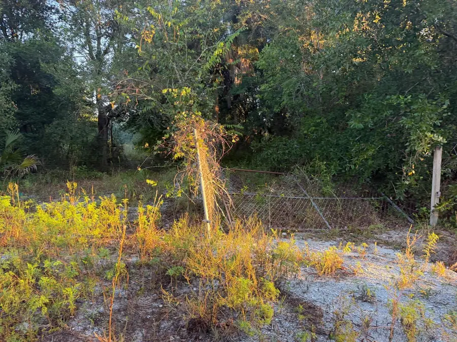 19835 NW 298th Street, Okeechobee, FL 34972 - #3