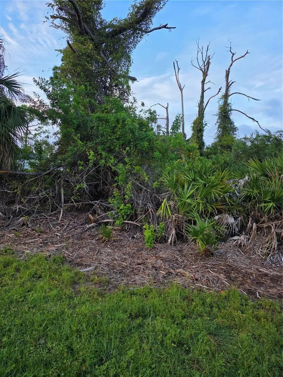 13488 Drysdale Avenue, Port Charlotte, FL 33981 - #2