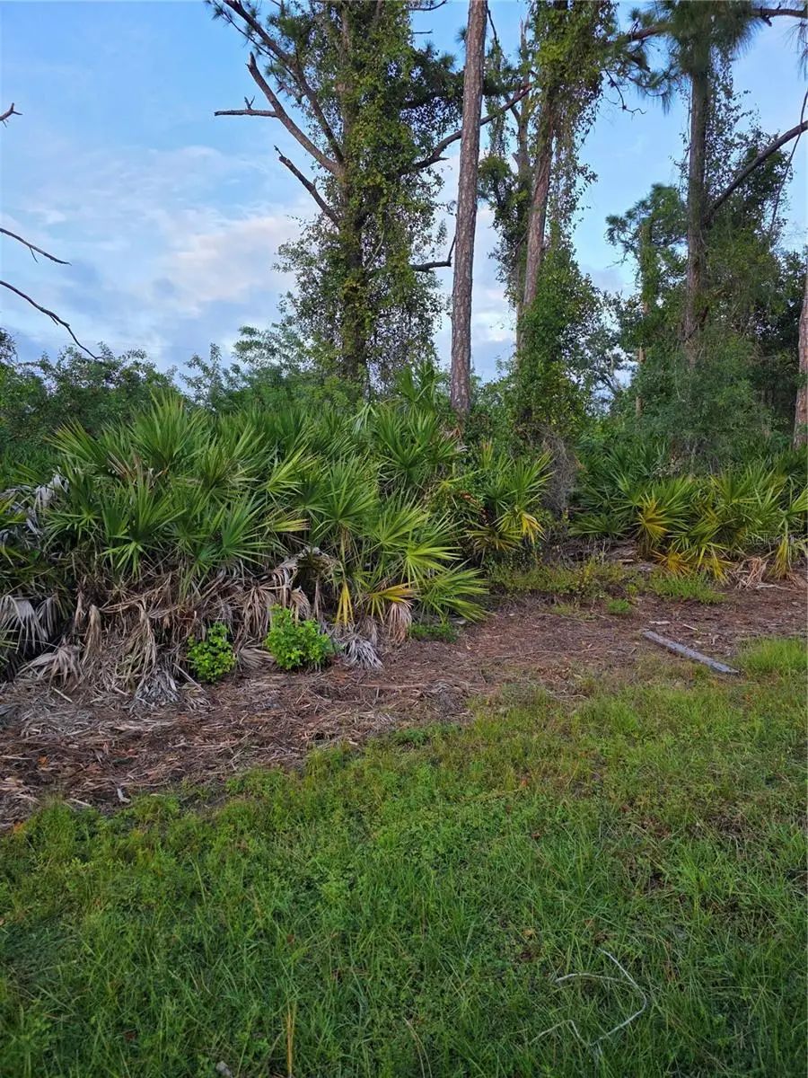 13488 Drysdale Avenue, Port Charlotte, FL 33981 - #3