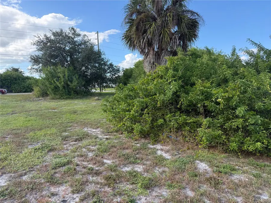 223 Antilla Drive, Rotonda West, FL 33947 - #3