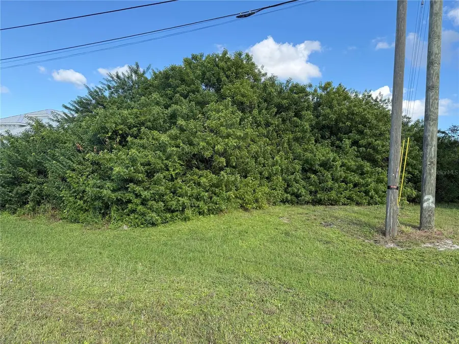 225 Antilla Drive, Rotonda West, FL 33947 - #3