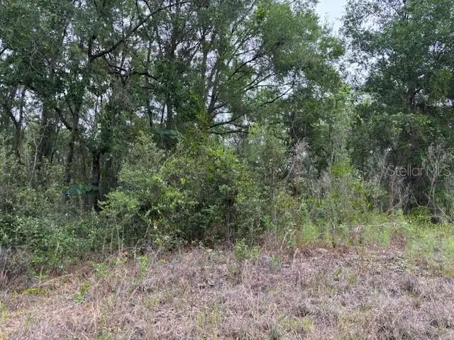 6717 E Gentry Street, Inverness, FL 34452 - #1