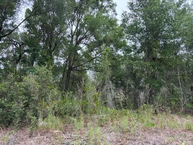 6717 E Gentry Street, Inverness, FL 34452 - #2