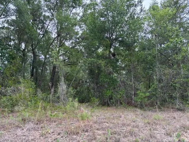 6717 E Gentry Street, Inverness, FL 34452 - #3