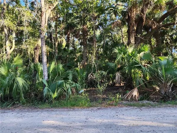 13334 E Shawnee Trail, Inverness, FL 34450