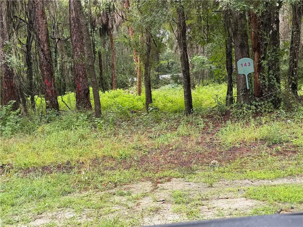 143 N Schoolcraft Drive, Inglis, FL 34449 - #1