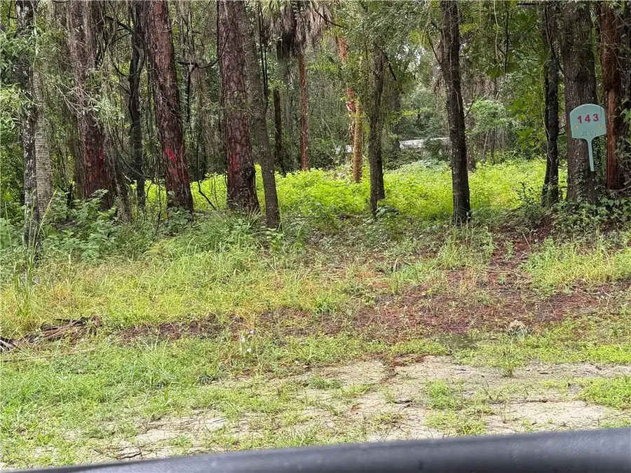 143 N Schoolcraft Drive, Inglis, FL 34449 - #2