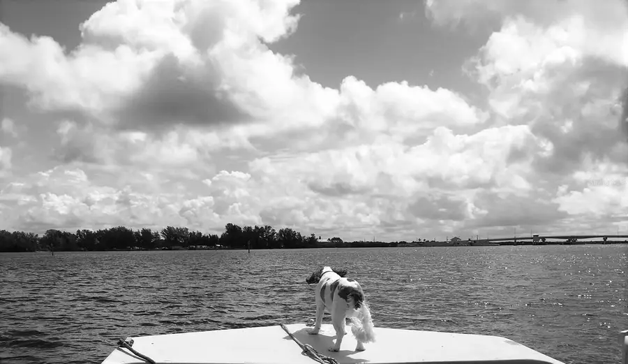 15447 Aron Circle, Port Charlotte, FL 33981 - Image #3