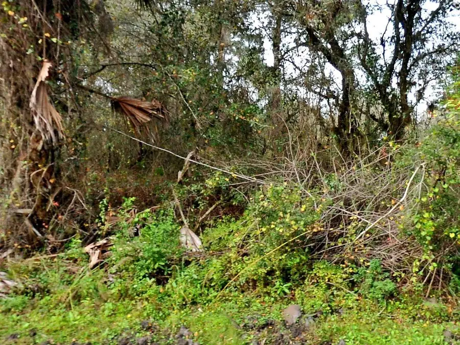 Padgette Street, North Port, FL 34291 - Image #2