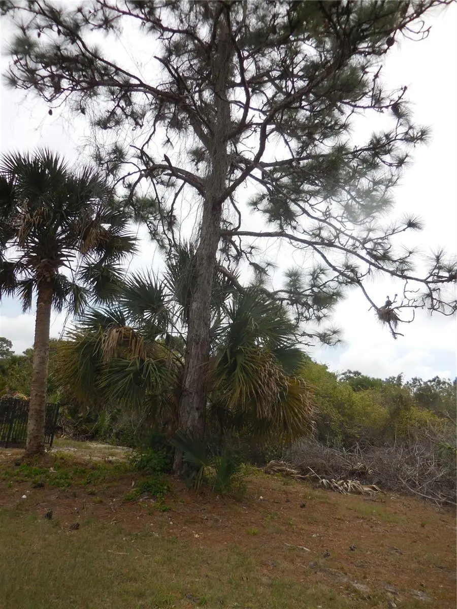 223 Jennifer Drive, Rotonda West, FL 33947 - Image #3