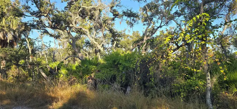 Lemon Avenue, Englewood, FL 34223 - Image #2