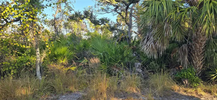 Lemon Avenue, Englewood, FL 34223 - Image #3