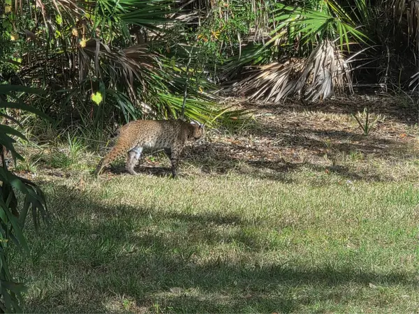 2212 Wakefield Street, PORT CHARLOTTE, FL 33948