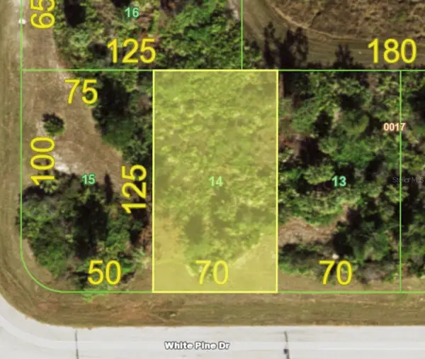 155 White Pine Drive, ROTONDA WEST, FL 33947