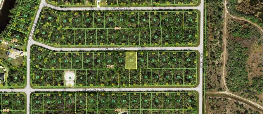 14215 Cameron Avenue, Port Charlotte, FL 33953 - #2