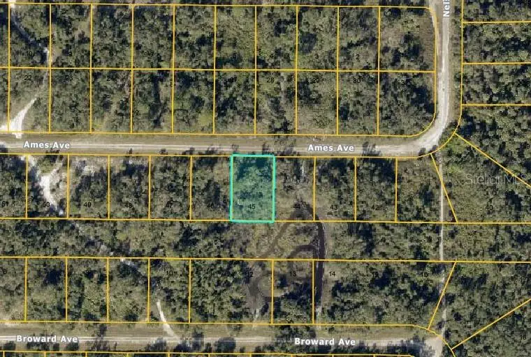 Lot #45 Ames Avenue, North Port, FL 34291 - #1