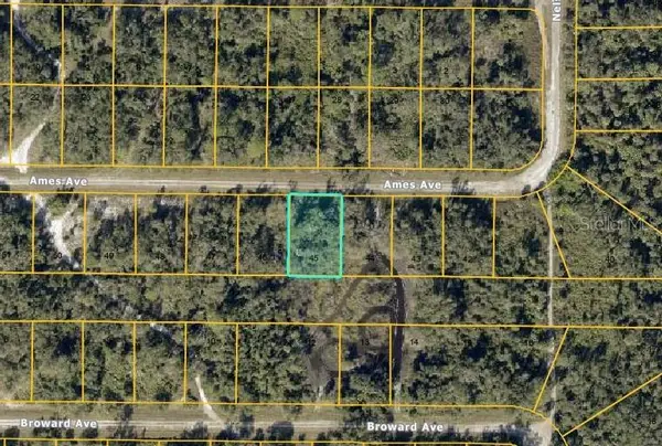 Lot #45 Ames Avenue, NORTH PORT, FL 34291