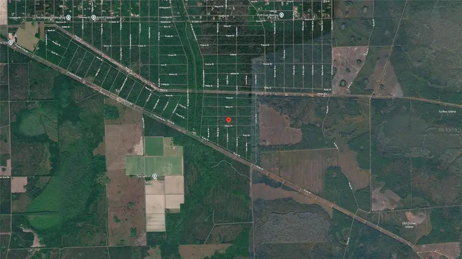 21-10-28-2775-00040-1020 Olson Street, Hastings, FL 32145 - #2