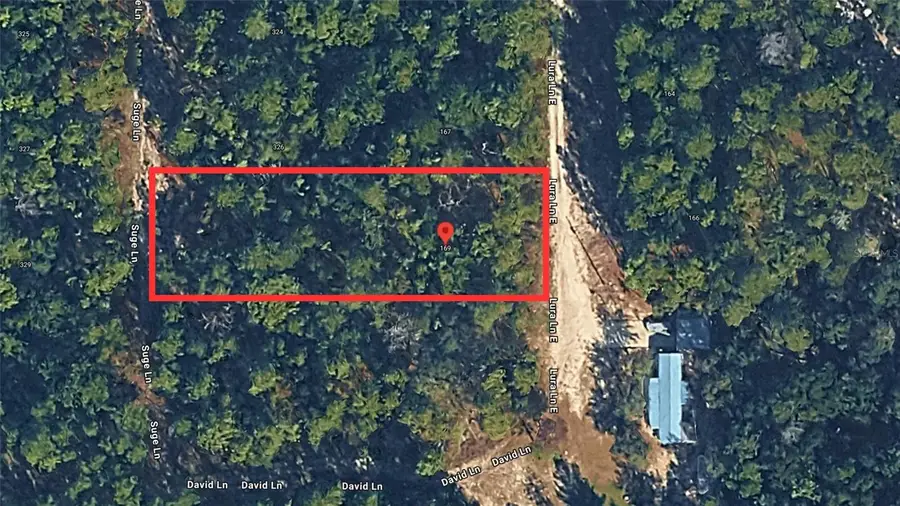 169 E Lura Lane, Florahome, FL 32140 - #3