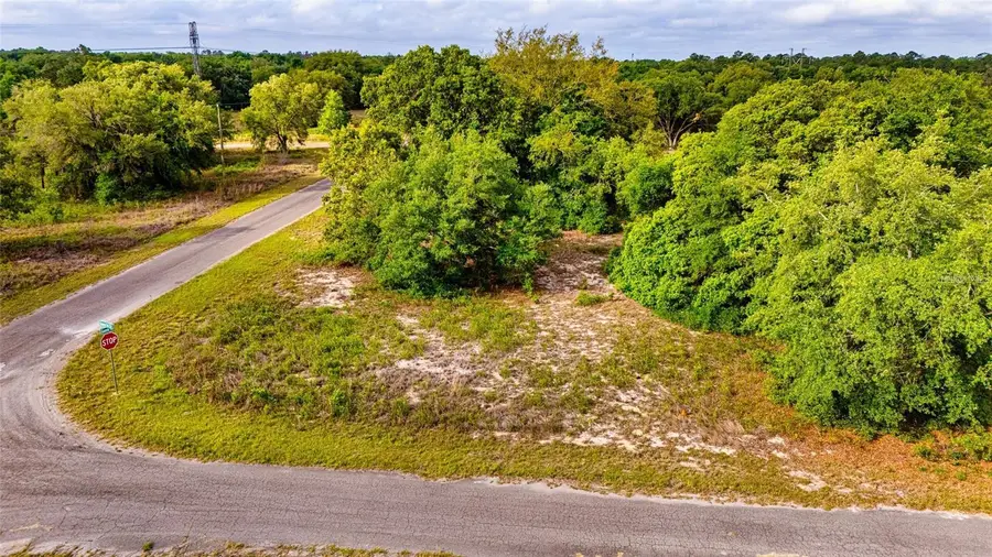 Guava Terrace, Ocklawaha, FL 32179 - #2