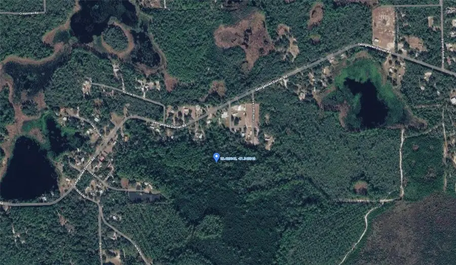 Georgetown Denver Point Road, Georgetown, FL 32139 - #3