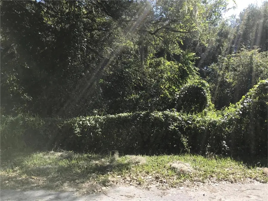 NW 2nd, Webster, FL 33597 - #2