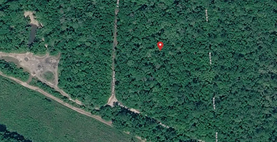 E Deep Creek, Hastings, FL 32145 - #2