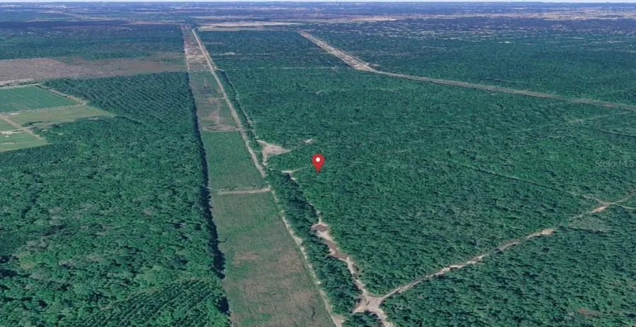 E Deep Creek, Hastings, FL 32145 - #3