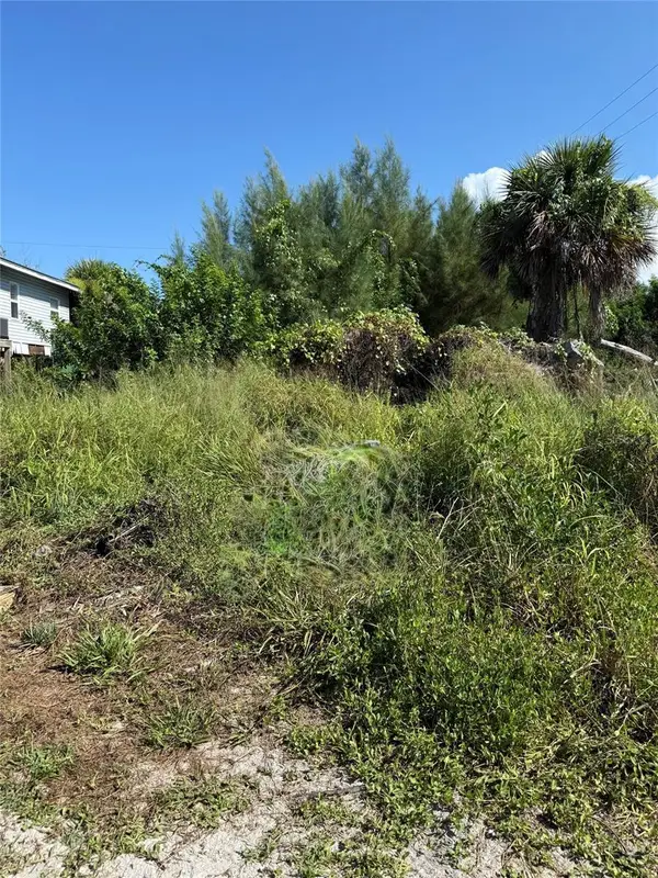8990 Seagrape Lane, PLACIDA, FL 33946