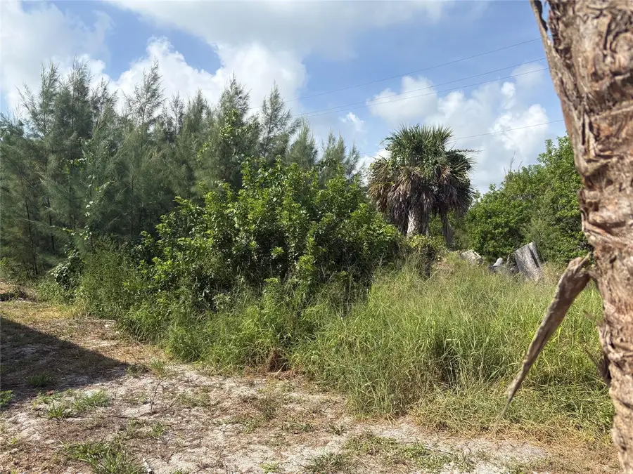 8990 Seagrape Lane, Placida, FL 33946 - #2