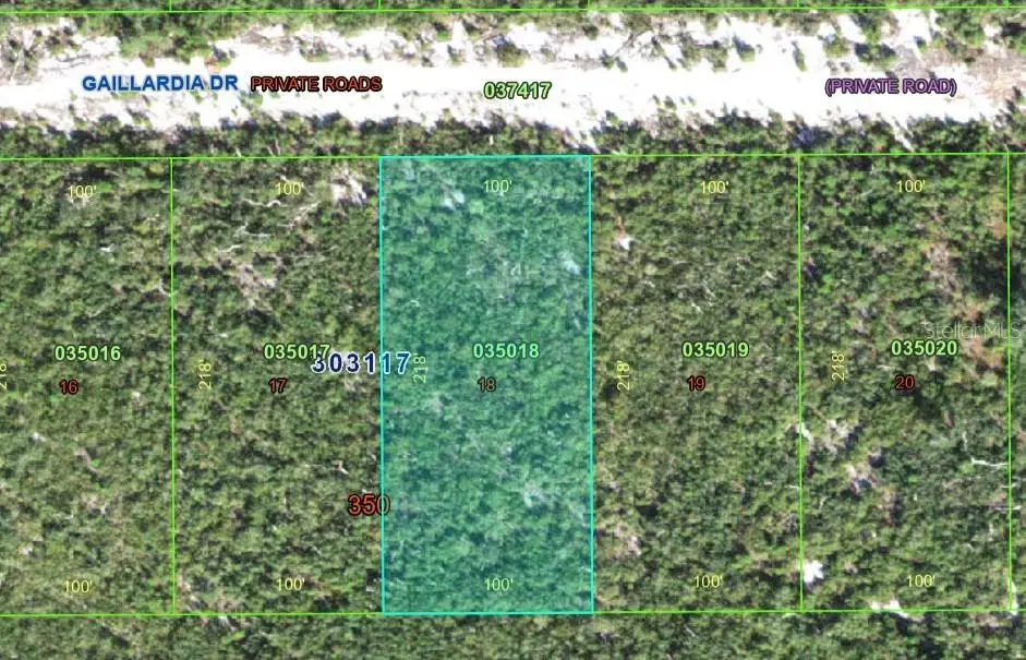 Gallardia Drive, Indian Lake Estates, FL 33855 - #1