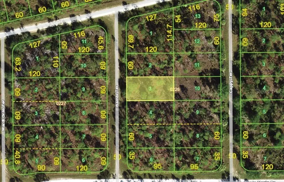 13346 Bambi Terrace, Punta Gorda, FL 33955 - #1