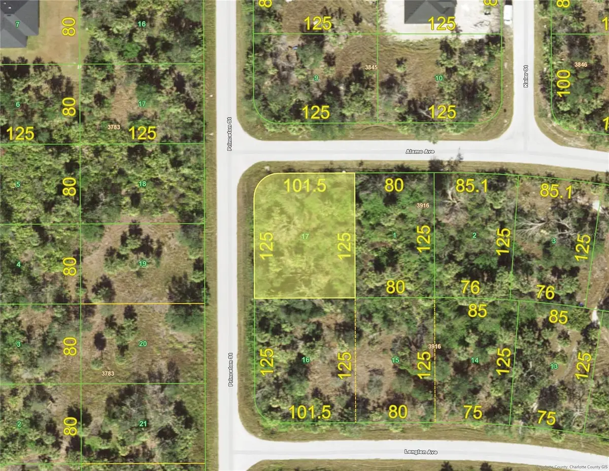 12085 Alamo Avenue, Port Charlotte, FL 33981 - #1