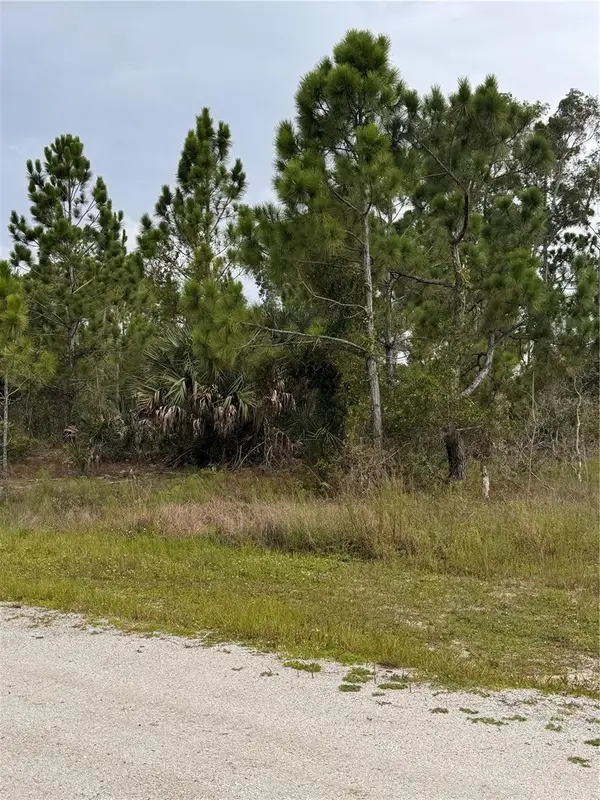 13279 Carousel Drive, PUNTA GORDA, FL 33955