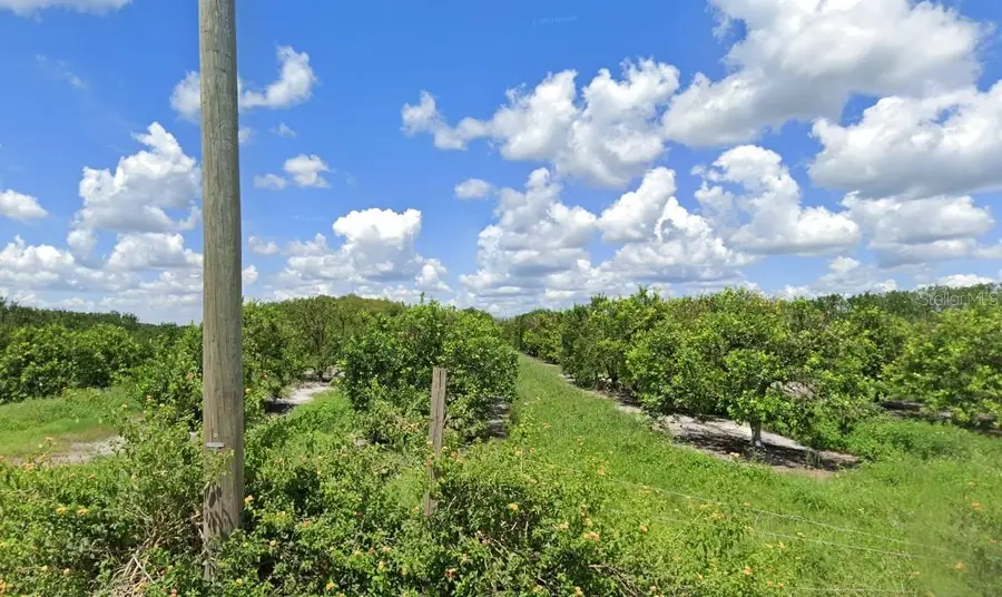 Holopaw Groves Road, Saint Cloud, FL 34773 - #2