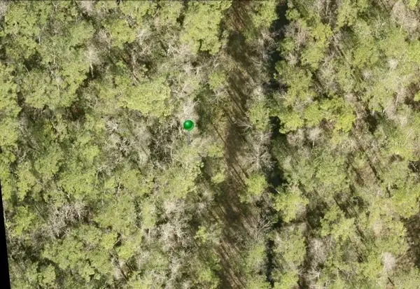 No Street, LAKE HELEN, FL 32744