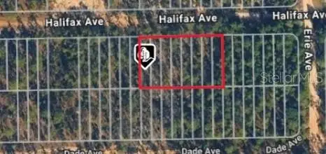 Halifax Ave, Interlachen, FL 32148 - #1