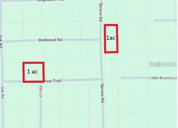 Spruce Road, Interlachen, FL 32148 - #2