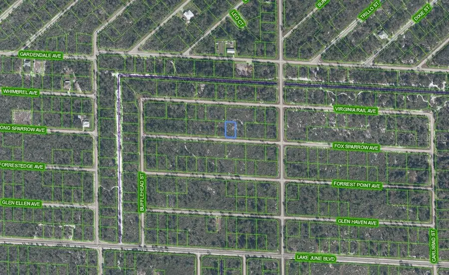 3509 Spoonbill Avenue, Lake Placid, FL 33852 - #2