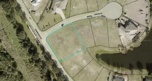 225 Conservatory Drive, PALM COAST, FL 32137