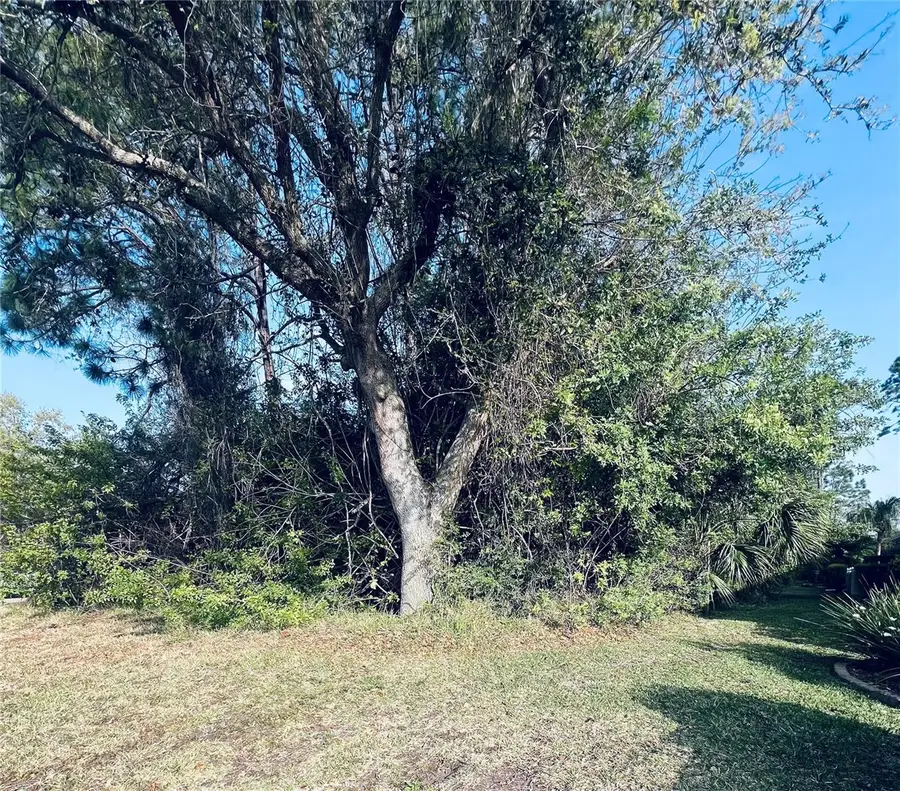 91 Emerald Lake Drive, Palm Coast, FL 32137 - Image #2