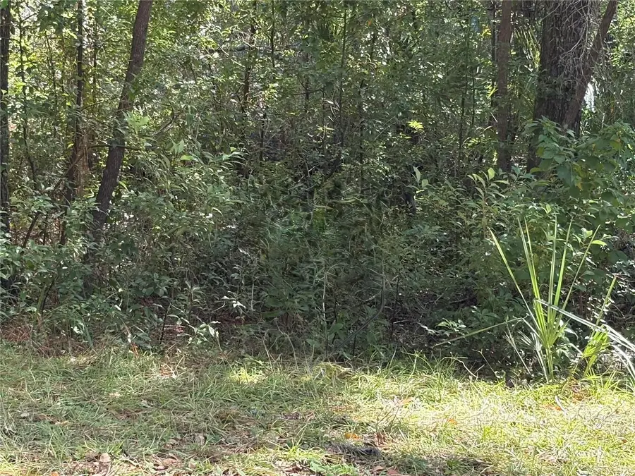 1228 Clover Terrace, Inverness, FL 34452 - Image #2