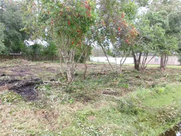 24 Lysander Lane, PALM COAST, FL 32137